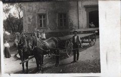gruenhainichen (16).JPG